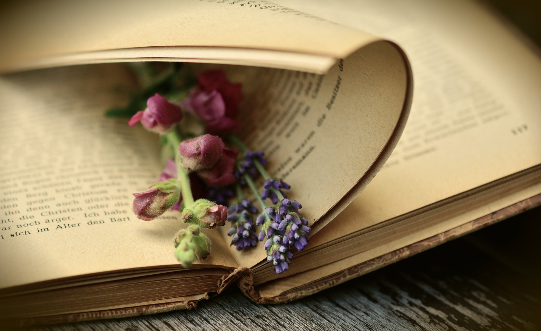 Flowers in a Book